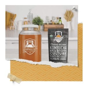 S-Shaped Airlocks for Homebrewing