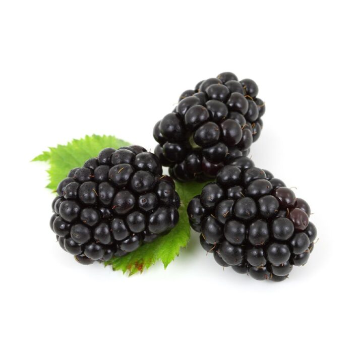 blackberry fruit wine base