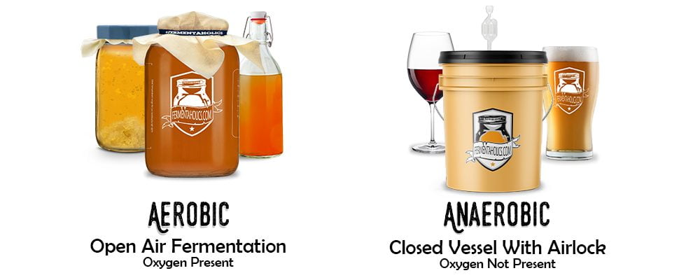 Anaerobic vs. Aerobic in Fermentation