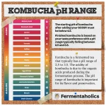 Ph Test Strips