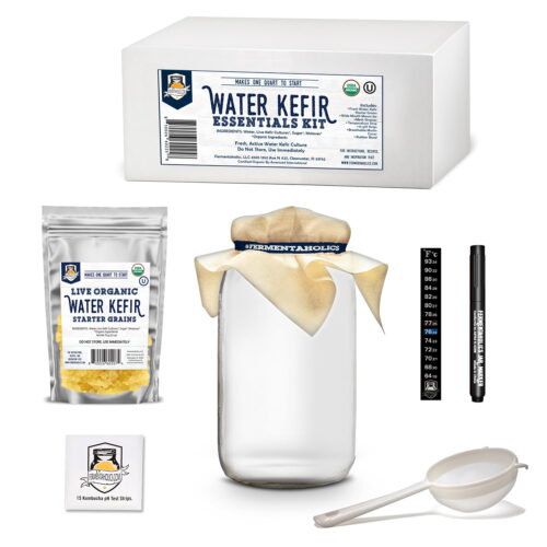 water kefir kit