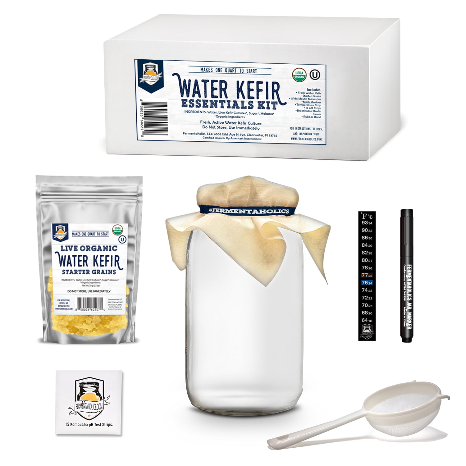 water kefir kit