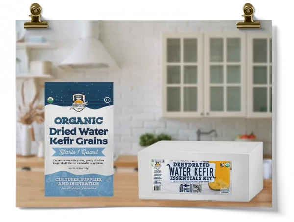 Dried Organic Water Kefir Brewing Kit