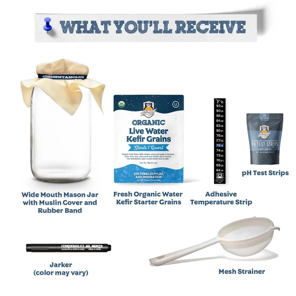 Fresh Water Kefir Kit