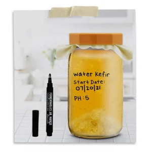 Fresh Water Kefir Grains