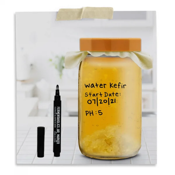 Fresh Water Kefir Grains