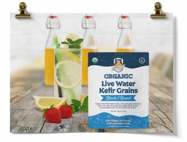 Fresh Water Kefir Essentials Kit