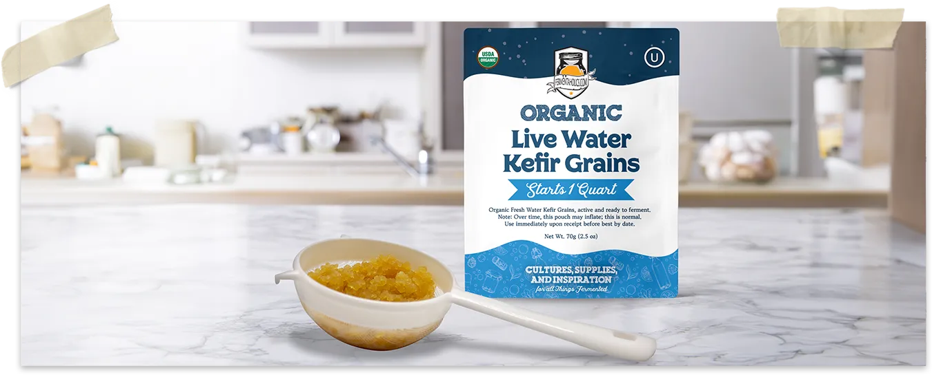 Live Organic Water Kefir Essentials Kit