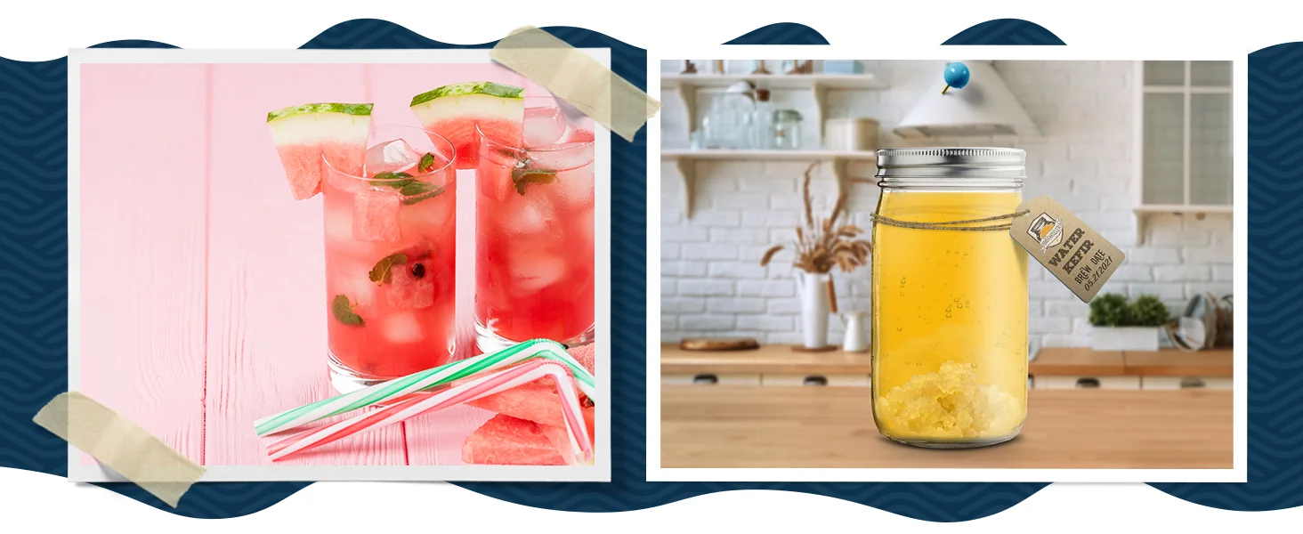 Fresh Water Kefir Kit