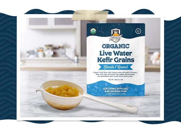 Water Kefir Starter Kit