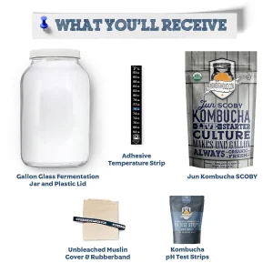 Jun Kombucha Brewing Kit