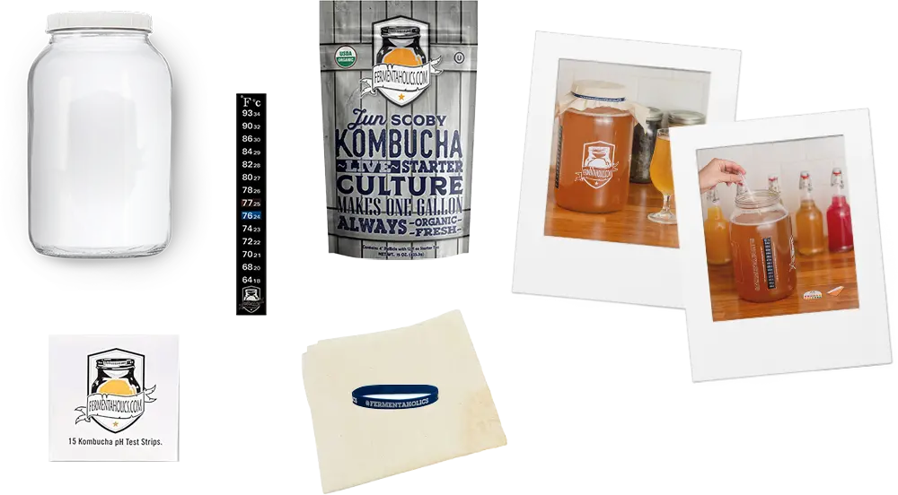 Jun Kombucha Brewing Kit