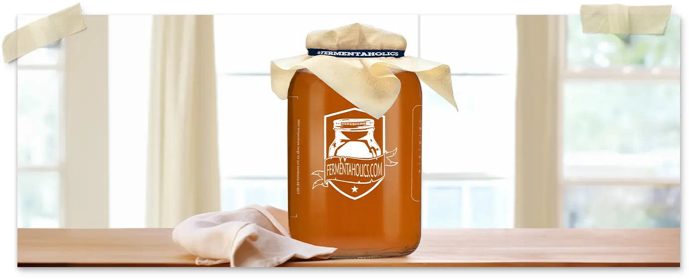 Jun Kombucha Kit