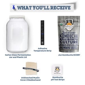 Jun Kombucha Brewing Kit