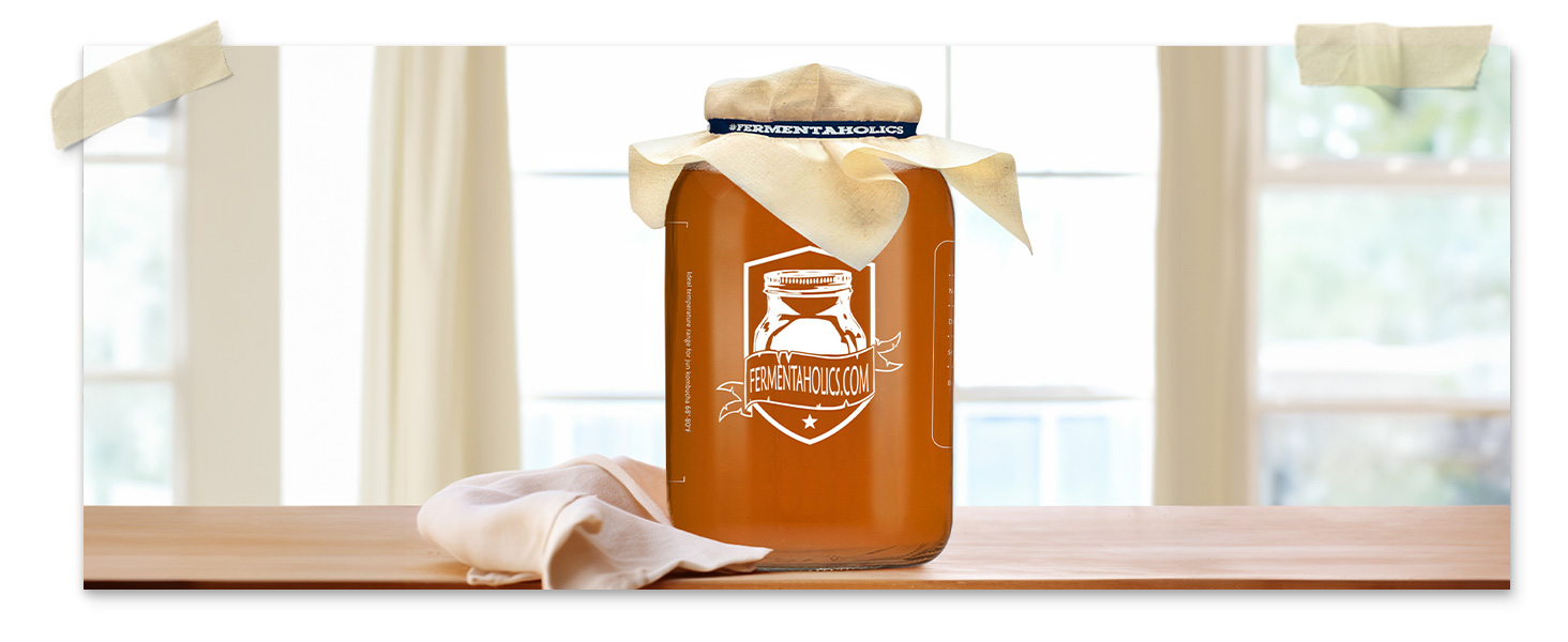Jun Kombucha Kit
