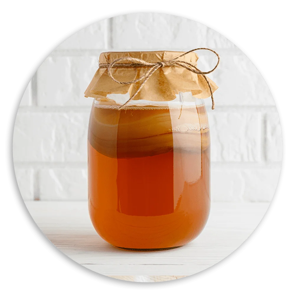 Kombucha Scoby