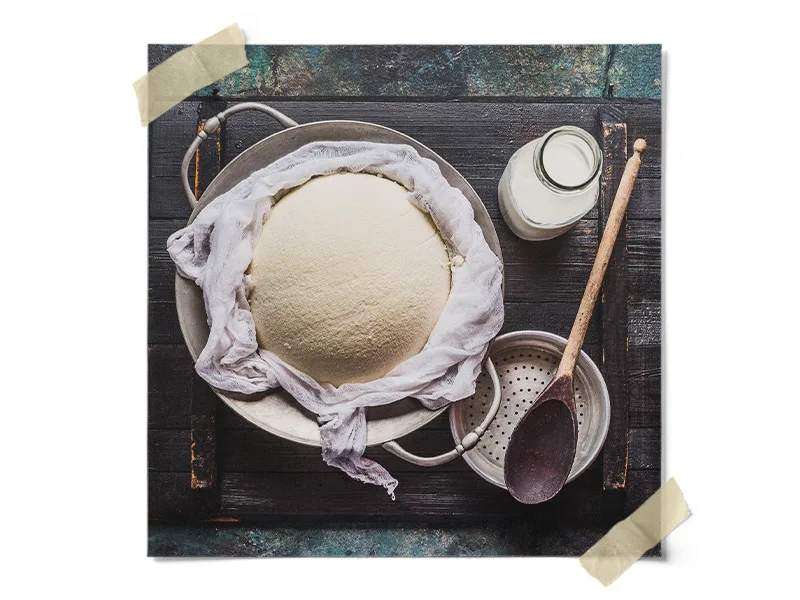 Wax On Cheese Edible