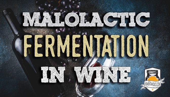 What is malolactic fermentation in wine?