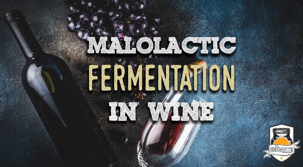 https://fermentaholics.com/wp-content/uploads/2022/06/Malolactic-Fermentation-Title-Image.jpg