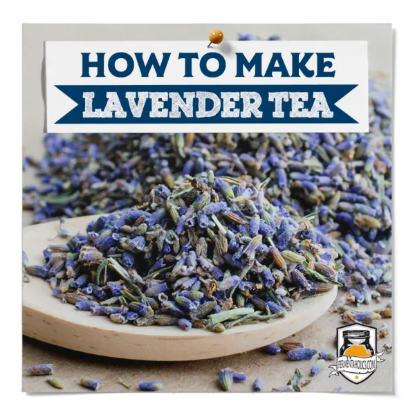 How To Make Lavender Tea