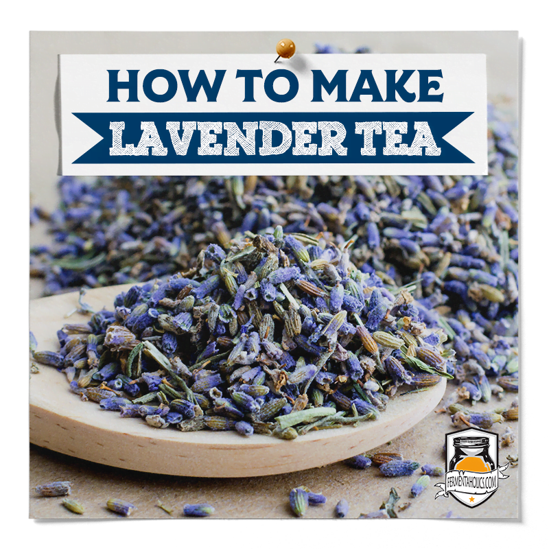 How to Make Lavender Tea Fermentaholics