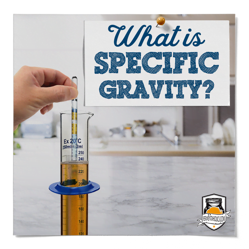 What is Specific Gravity?