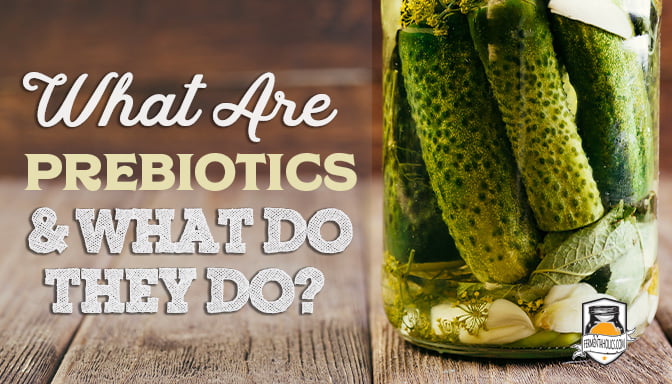 What Are Prebiotics and What Do They Do?