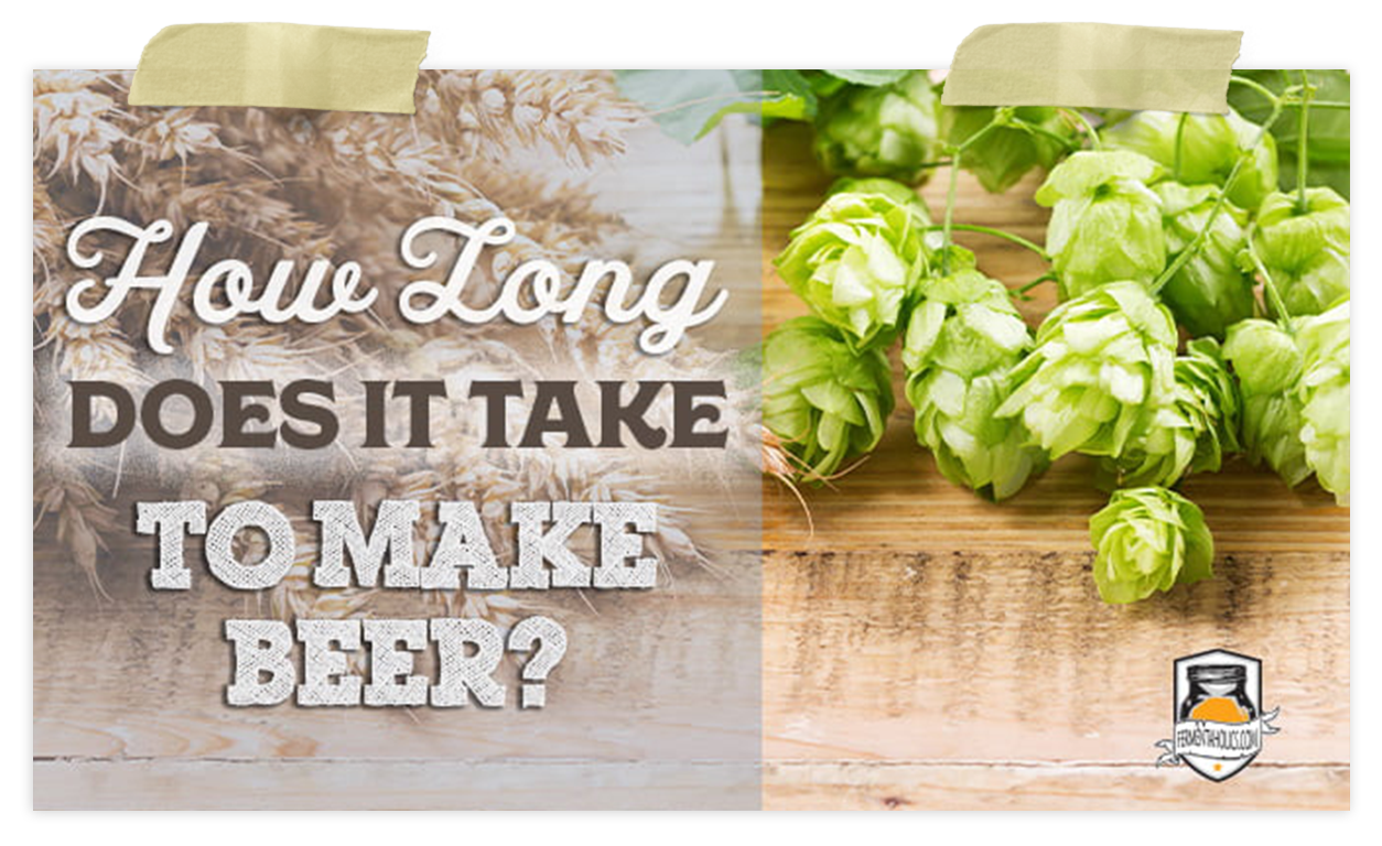 Beer Brewing How to, FAQs, & Troubleshooting