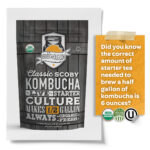 Kombucha SCOBY