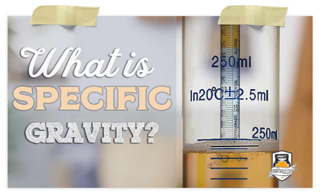 Measuring Specific Gravity A Key to Calculating ABV and Sugar Content
