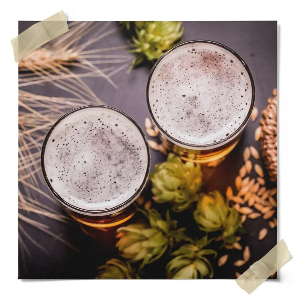 What Is A Lager