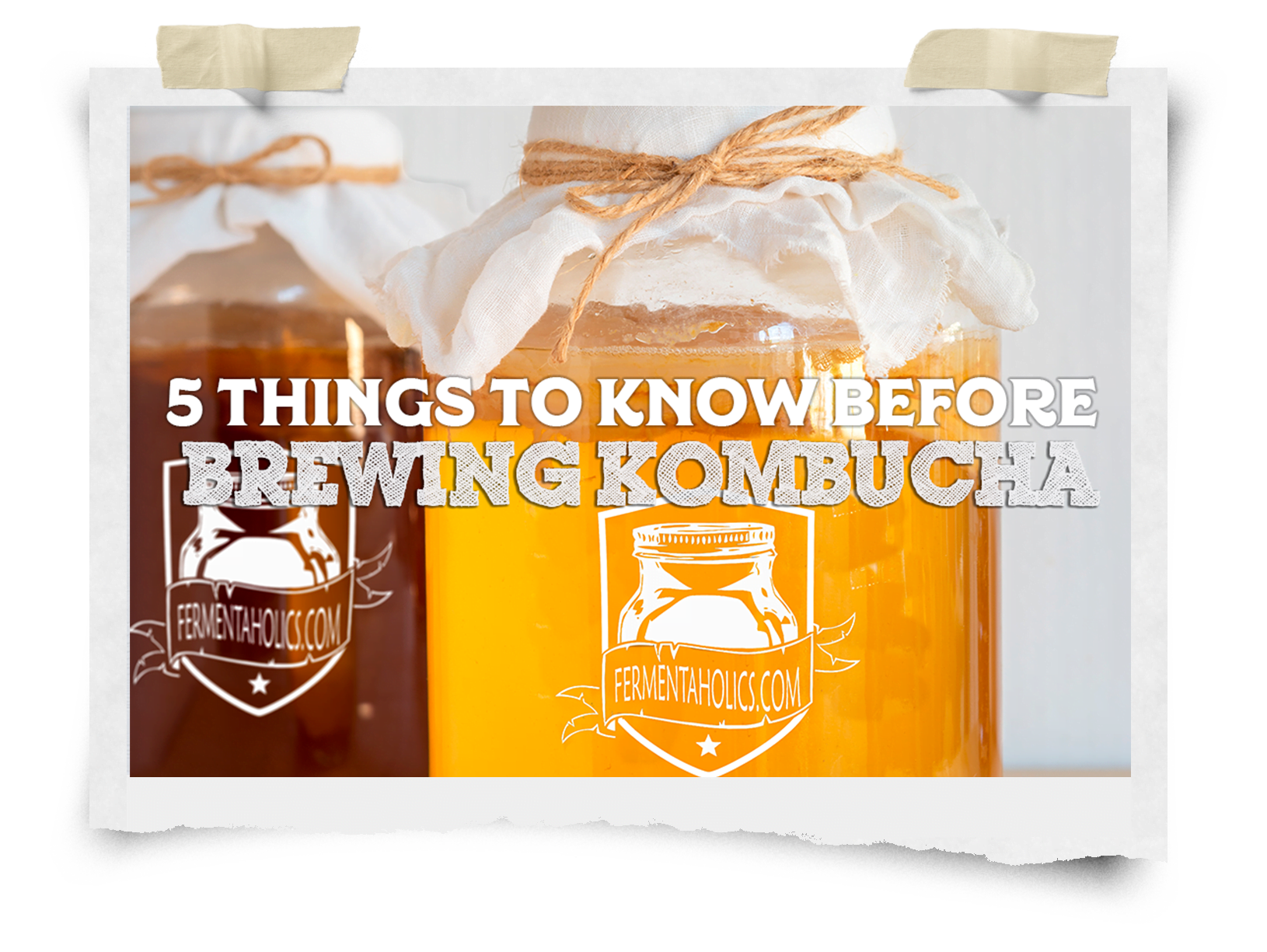 Five Things to Know Before You Start Making Kombucha