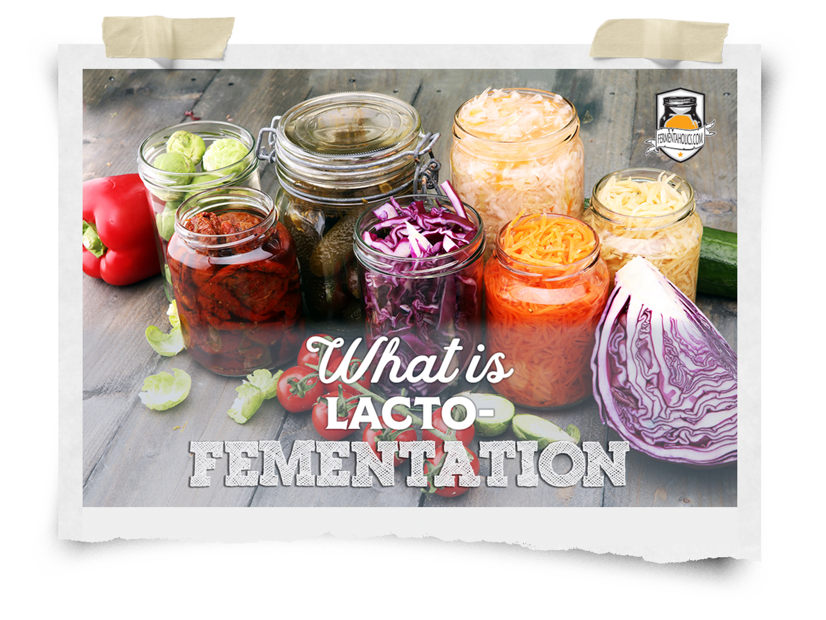 What is Lacto-Fermentation?