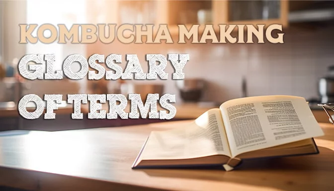 Kombucha Making Glossary of Terms