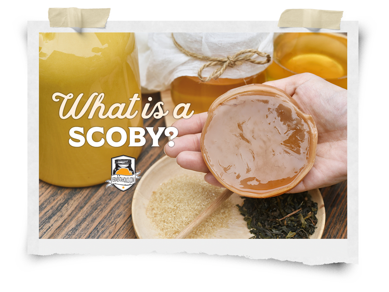 What is a SCOBY?