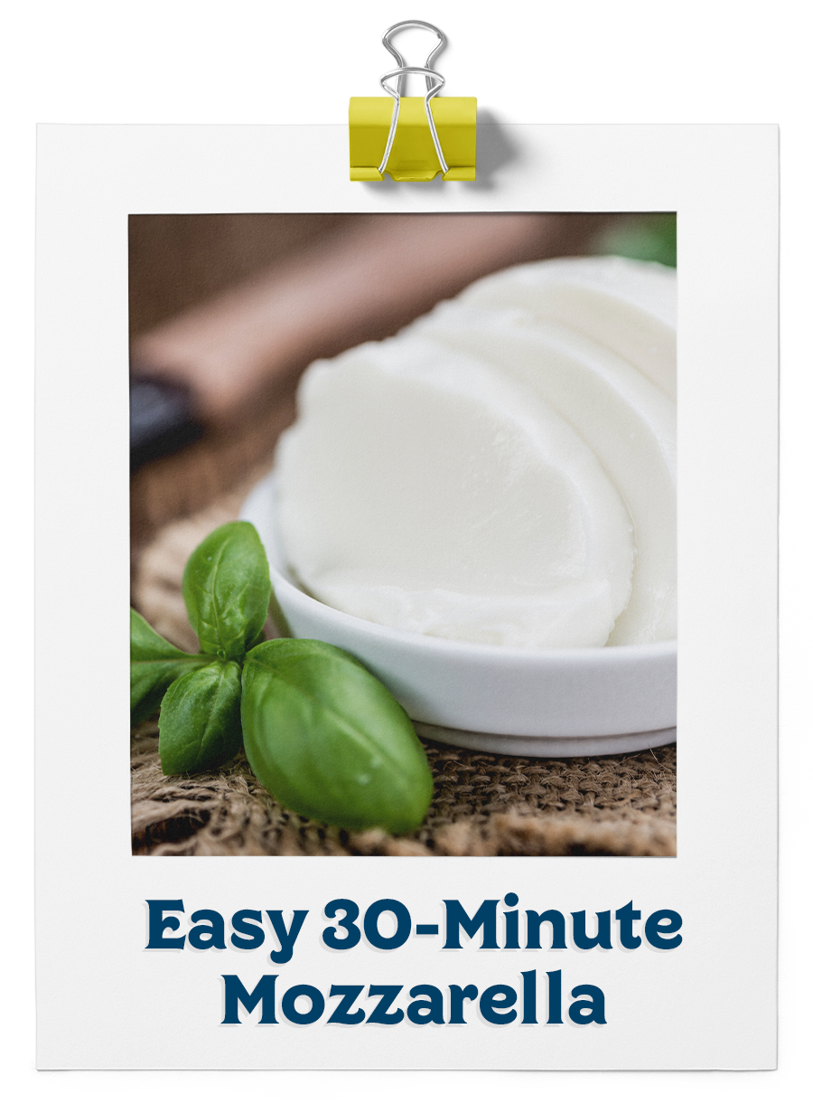 30-Minute Mozzarella Cheese Recipe