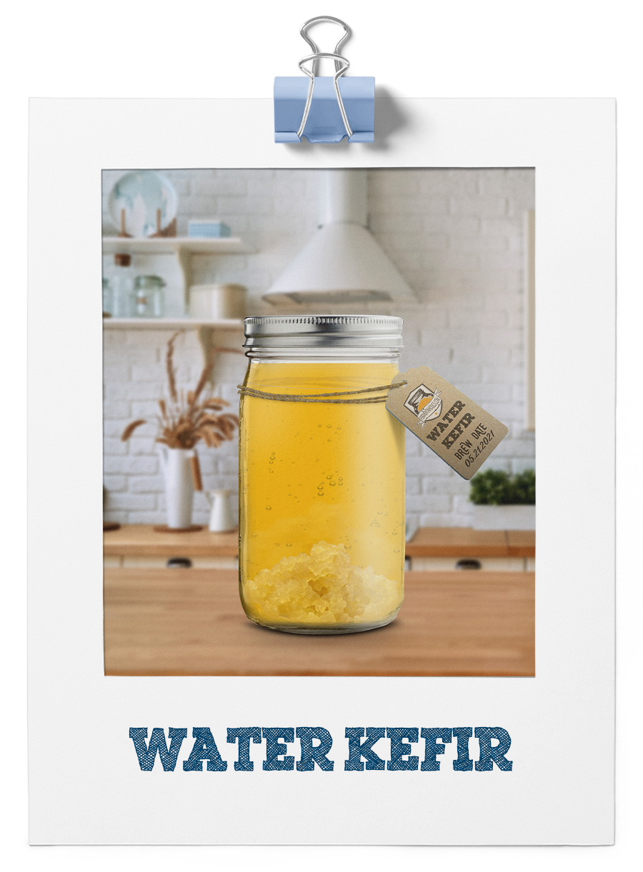 Water Kefir Making Supplies
