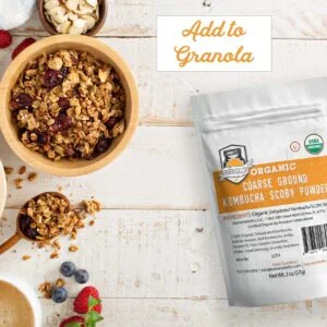 Dried Kombucha SCOBY