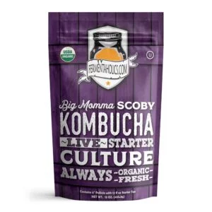 Extra Large Kombucha SCOBY - Big Momma SCOBY