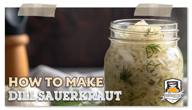 Dill Sauerkraut Recipe