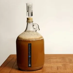 Gallon-Beer-Fermenter