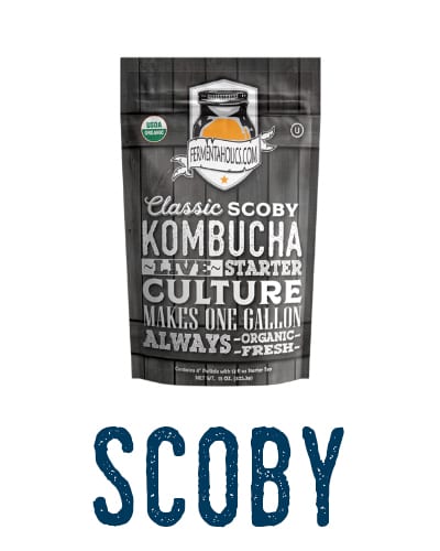 Kombucha Ingredients SCOBY