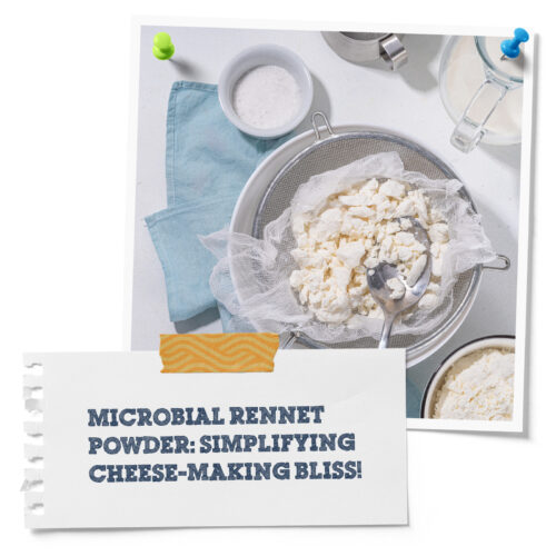 microbial rennet