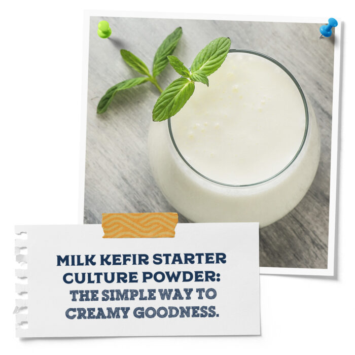milk kefir starter powder