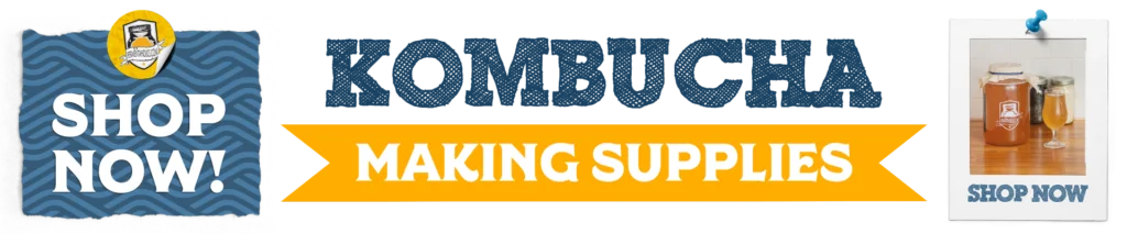 Shopbanner Kombucha V2 Copy