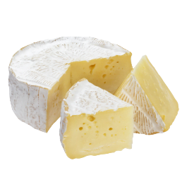 Cheese Making - Fermentaholics