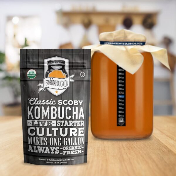 Kombucha Starter Kit Complete with SCOBY
