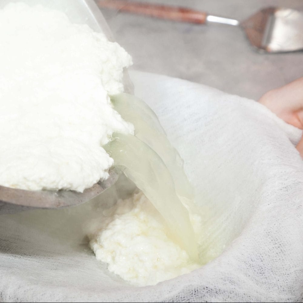 "Make Homemade Fresh Cheese With DIY Cheese Making Kit"