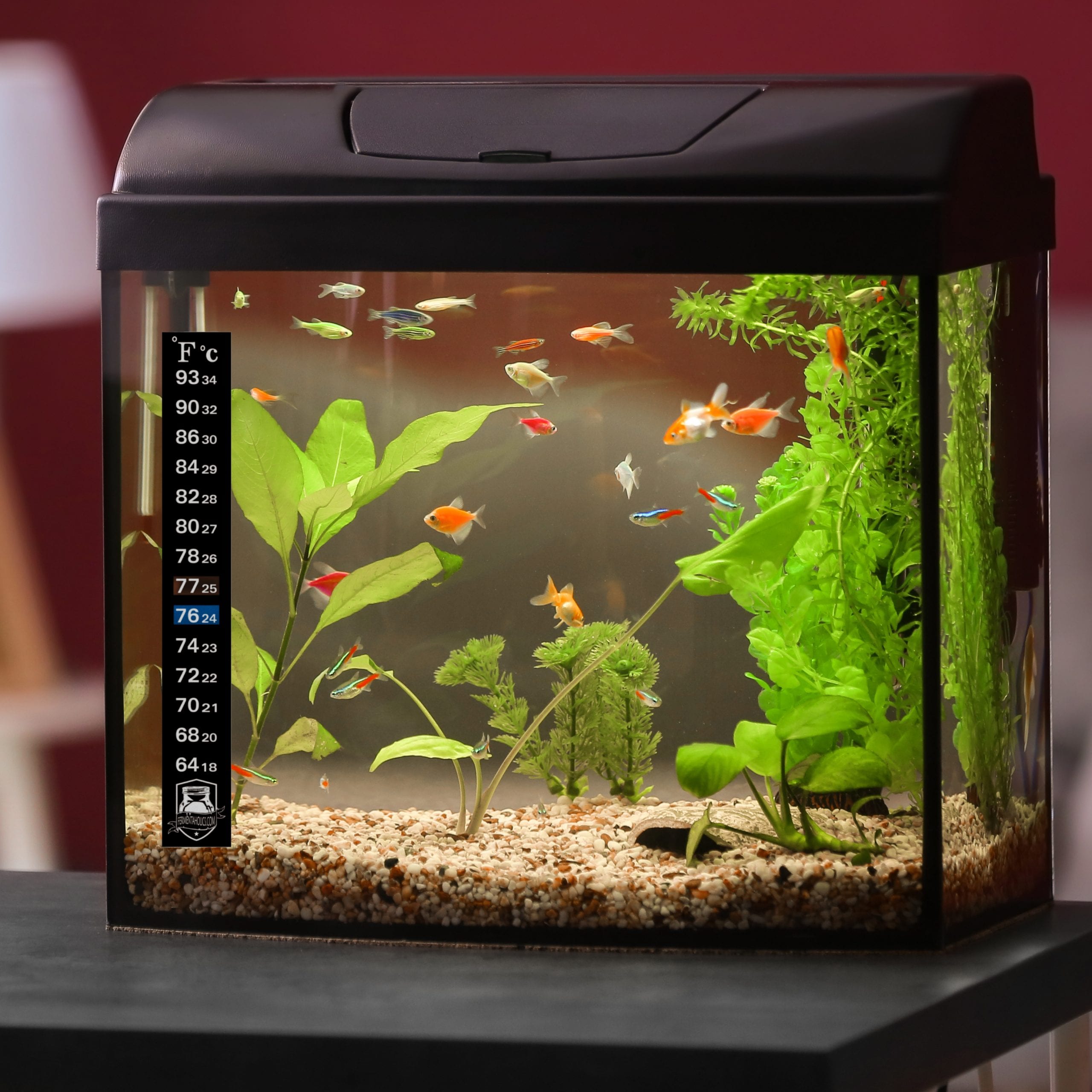 Brewing Temperature Strip Stickon Thermometer for Fermenting