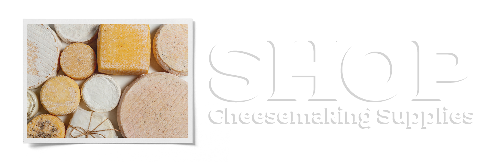 https://fermentaholics.com/wp-content/uploads/2023/10/Cheesemaking-Supplies.png
